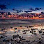 Contaminación marina y basura en una playa.