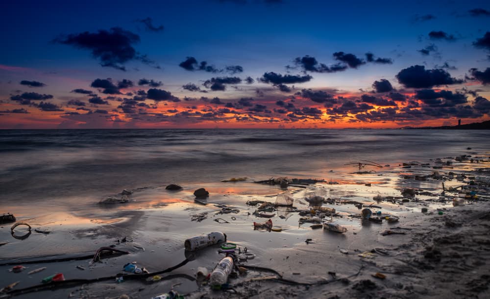 Contaminación marina y basura en una playa.