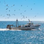 Monitoreo y protección de alta mar: Tecnología contra la pesca ilegal y contaminación.