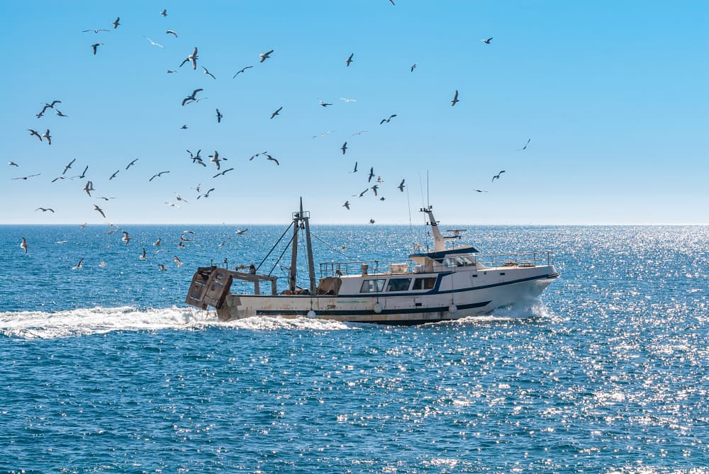 Monitoreo y protección de alta mar: Tecnología contra la pesca ilegal y contaminación.