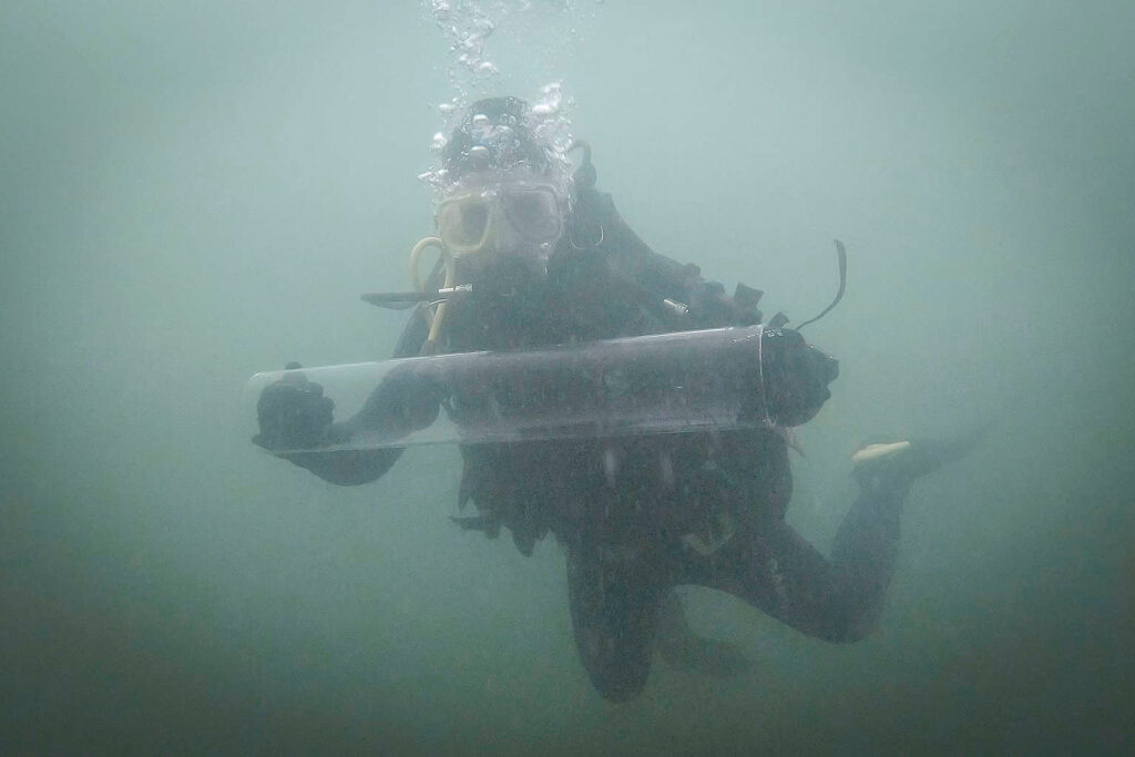 La diversidad del océano profundo y sus desafíos en la minería submarina.