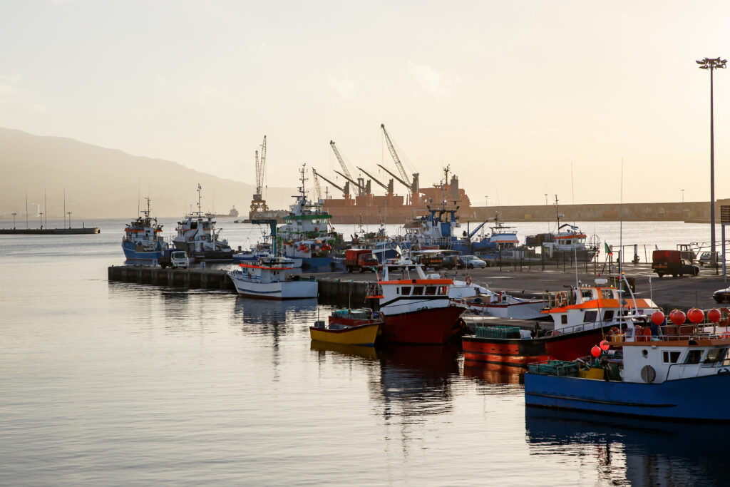 Cómo afecta la pesca industrial al Mar Argentino