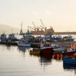 Cómo afecta la pesca industrial al Mar Argentino