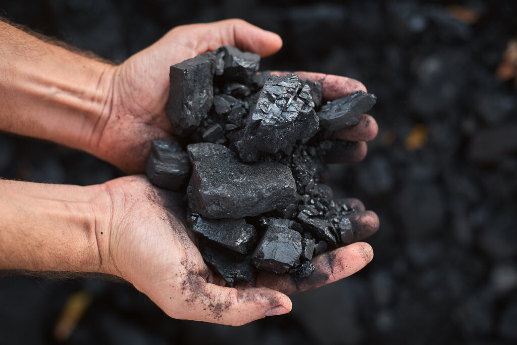 Sumideros de carbono: definición, funcionamiento, problemas