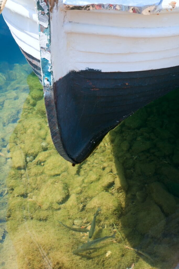 El barco que podría revolucionar el cultivo de algas marinas