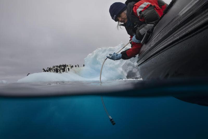  Inédito hallazgo en el lecho oceánico: un ecosistema sin plantas ni animales