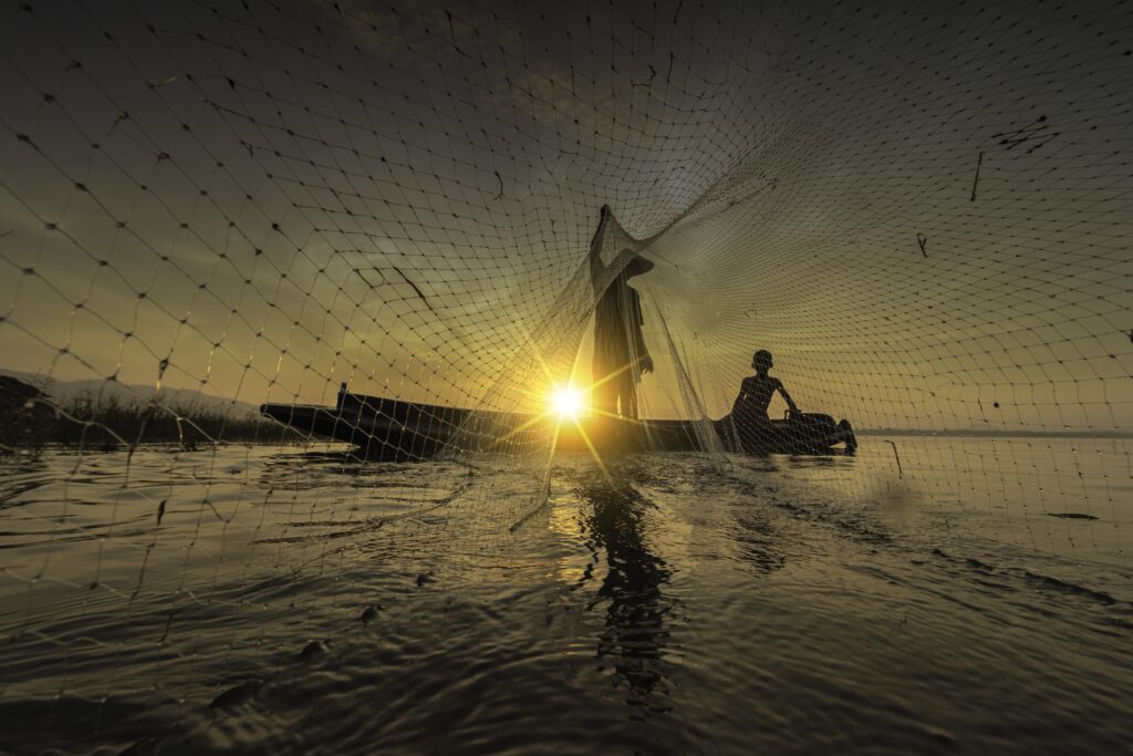 Pesca en aguas turbulentas: fomento de la pesca sostenible y preservación de los océanos