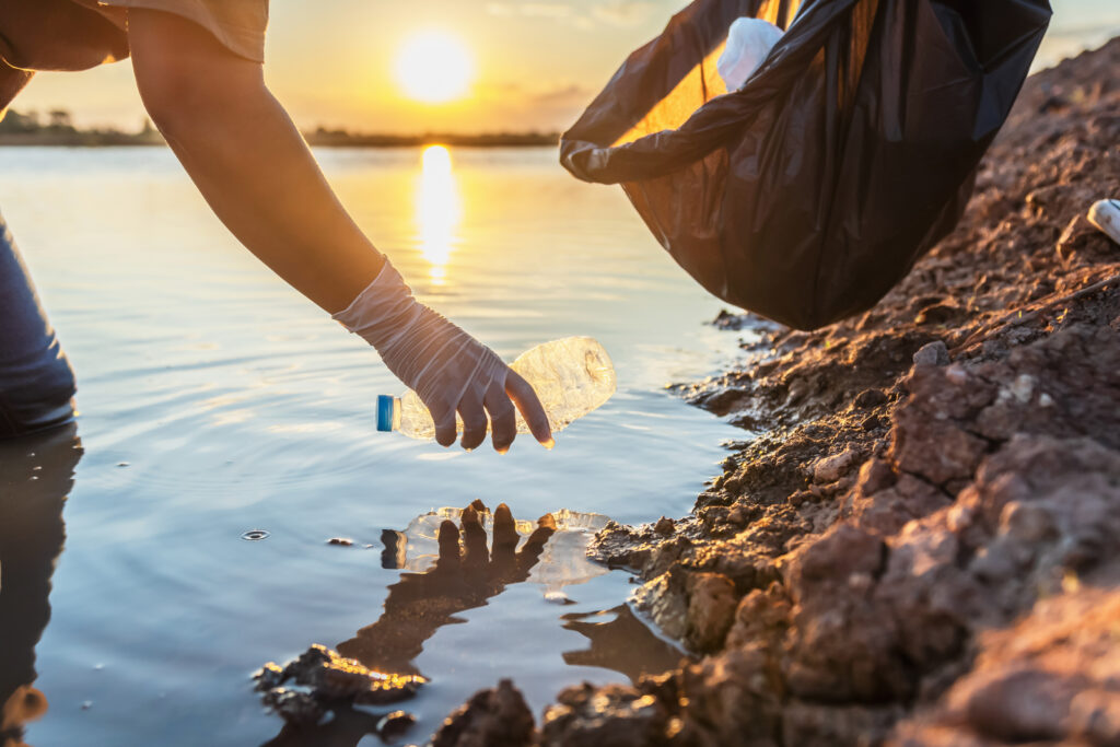 Cómo proteger las praderas marinas puede ayudar a salvar nuestros océanos