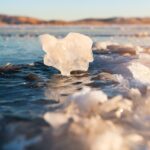 El calor récord hace retroceder el hielo marino, lo que preocupa a los científicos