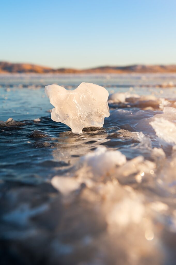 El calor récord hace retroceder el hielo marino, lo que preocupa a los científicos