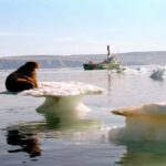  Las olas de calor en los océanos preocupan a los científicos