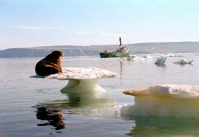  Las olas de calor en los océanos preocupan a los científicos