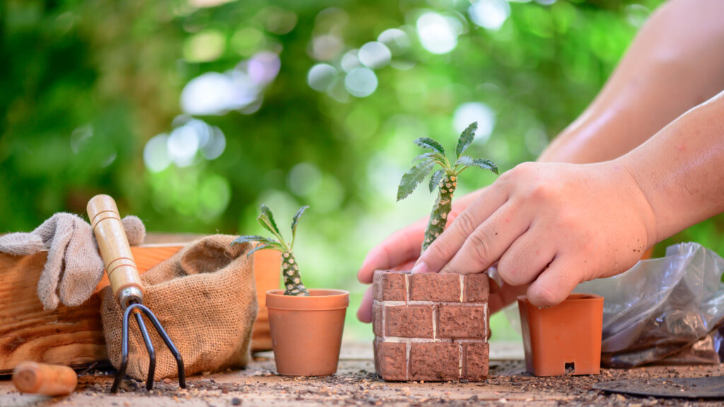 Un jardinero inventa un ladrillo de construcción sostenible fabricado con algas invasoras