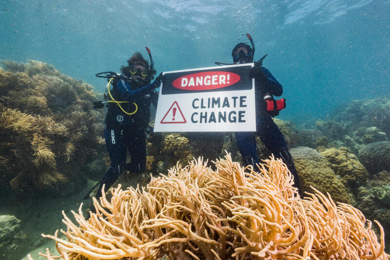 Aumenta el blanqueamiento de corales en aguas profundas por el calentamiento de los océanos