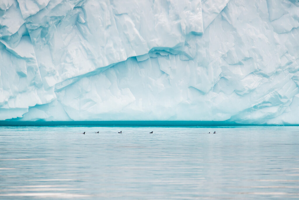 El mar Ártico podría quedar libre de hielo estacional antes de lo que pensábamos