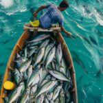 Las claves de la pesca sostenible