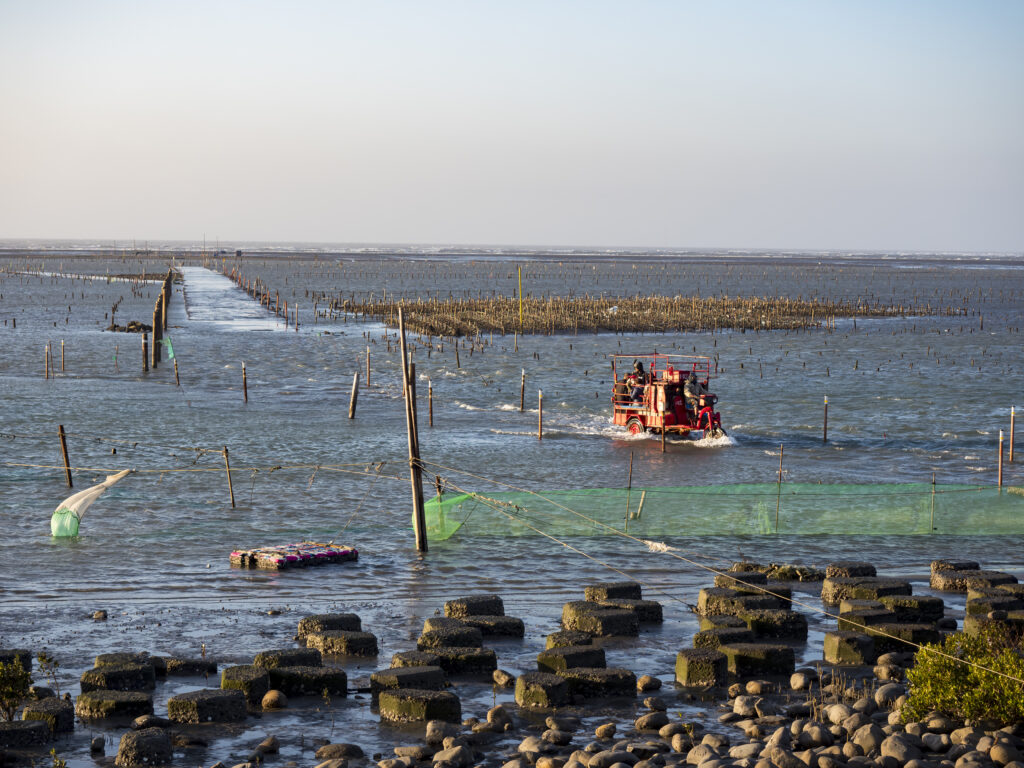 El Mar Argentino, un recurso estratégico para el desarrollo pesquero y económico