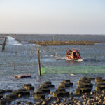 El Mar Argentino, un recurso estratégico para el desarrollo pesquero y económico