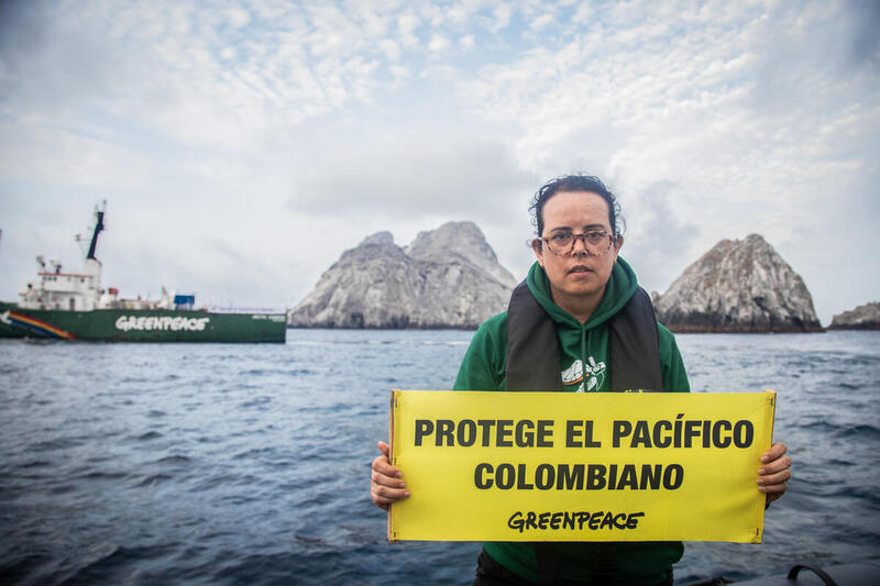 Greenpeace celebra 15 años protegiendo los océanos de Colombia