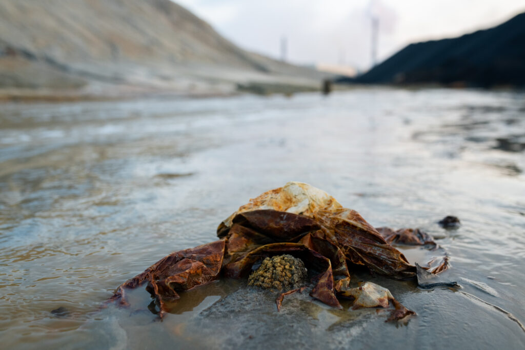 Las causas de la contaminación marina