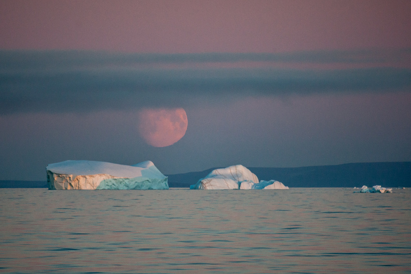 Evidencias de la ‘atlantificación’ del Ártico por el cambio climático