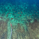 El hallazgo de la NASA en los mares argentinos