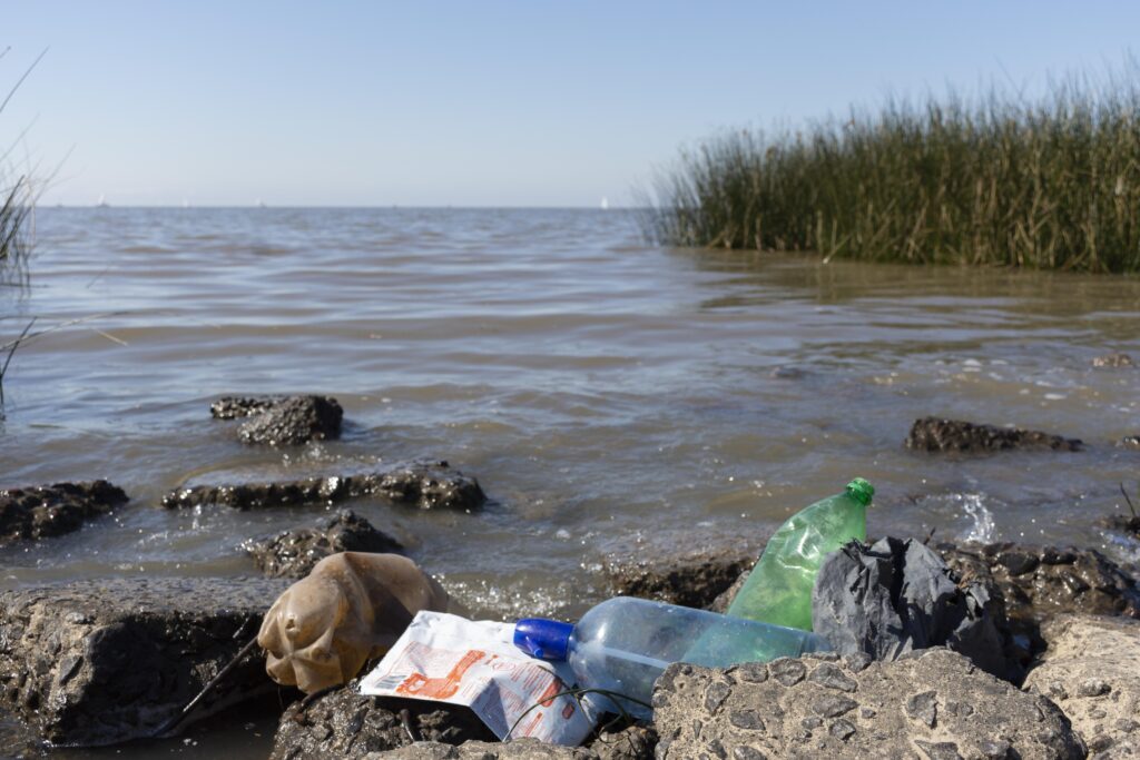 Qué está pasando con la contaminación marina en Brasil