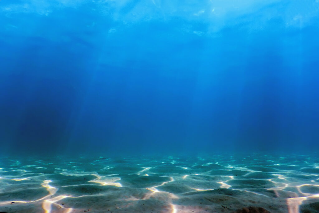 Vista submarina del fondo del mar con aguas cristalinas, rayos de luz solar penetrando desde la superficie y arena limpia en el lecho oceánico.