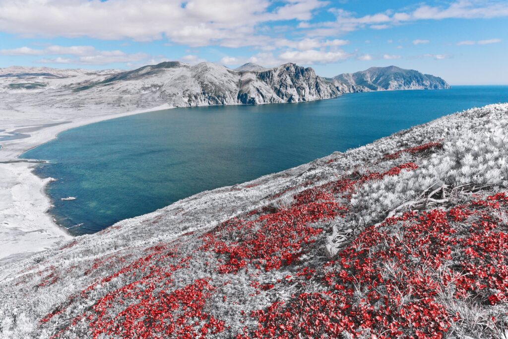 Vista panorámica de una bahía polar con montañas y vegetación rojiza sobre una colina nevada, evocando los efectos del cambio climático en regiones polares.
