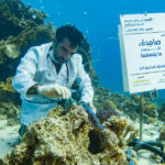 Un activista vestido como médico examina un coral dañado bajo el agua, junto a un cartel sumergido de Greenpeace en árabe que denuncia los efectos del cambio climático en los ecosistemas marinos.