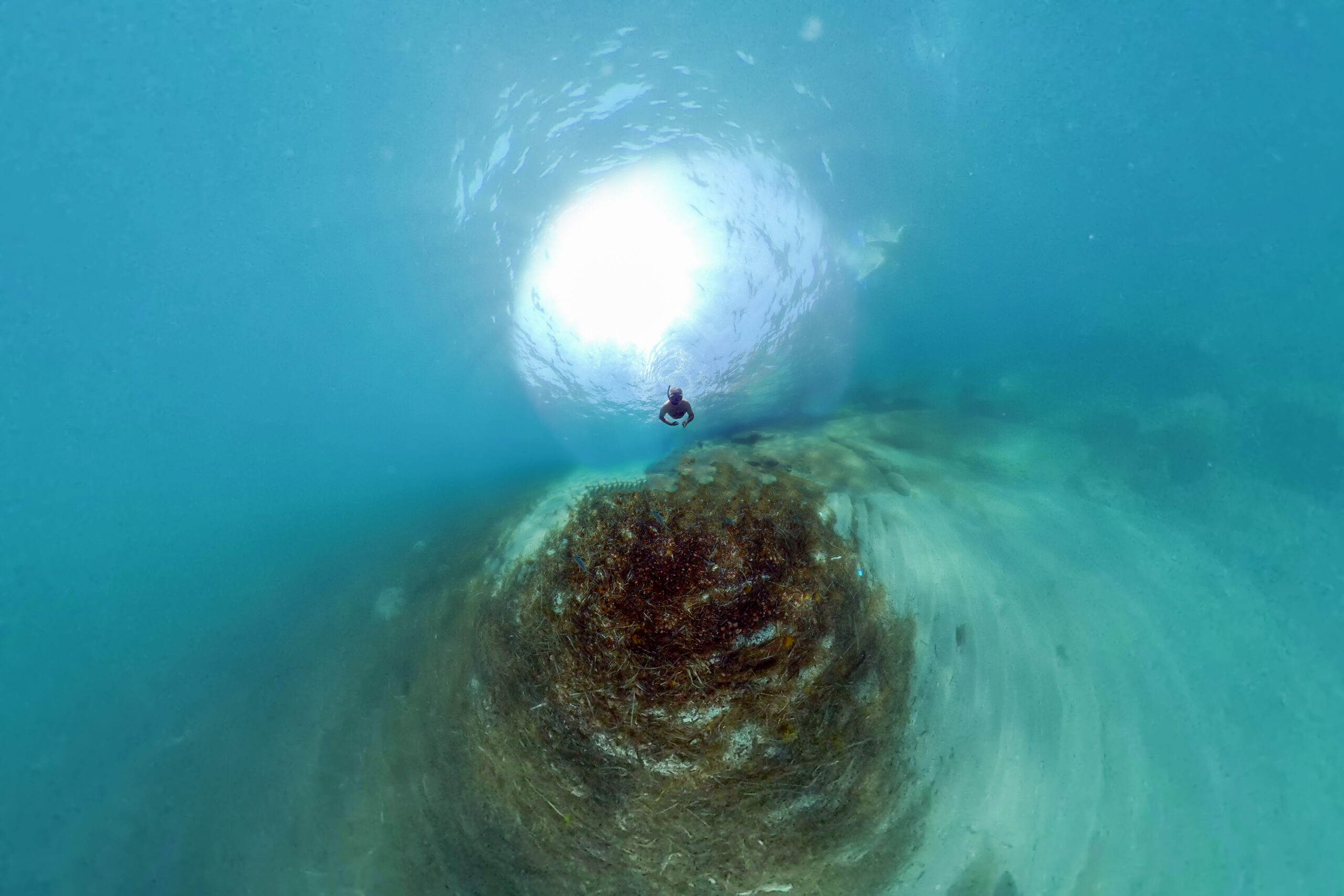 Persona buceando bajo el agua en un entorno marino con luz solar filtrándose desde la superficie, simbolizando la conexión humana con los océanos y su conservación.