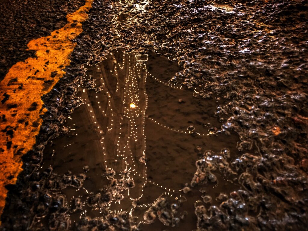 Reflejo nocturno de luces urbanas en un charco sobre asfalto, símbolo del impacto ambiental del derrame de petróleo en Perú.