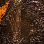 Reflejo nocturno de luces urbanas en un charco sobre asfalto, símbolo del impacto ambiental del derrame de petróleo en Perú.
