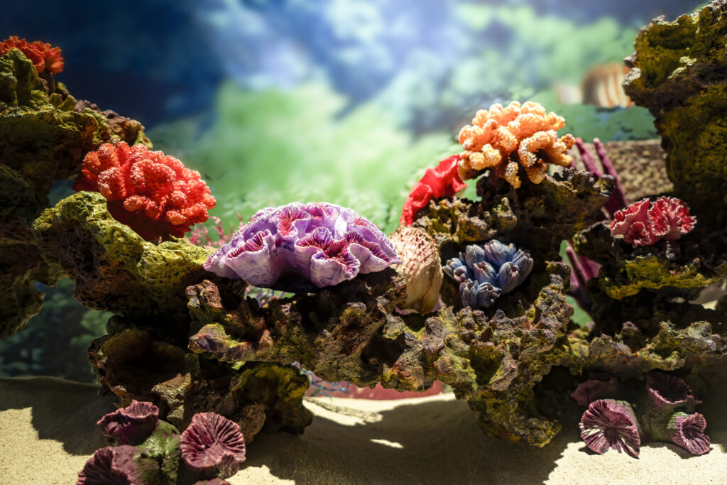 Arrecife de coral colorido con diversas especies marinas sobre una estructura rocosa en aguas tropicales, símbolo de restauración ecológica.