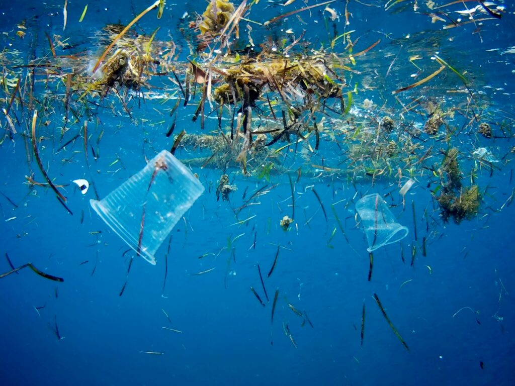 Vasos plásticos y restos de vegetación flotan en la superficie de aguas oceánicas contaminadas.