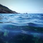 Superficie del mar en tonos azul intenso con formaciones rocosas y vegetación en la costa.