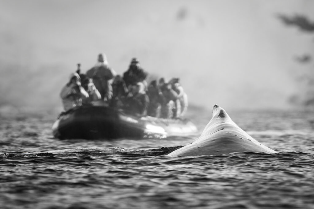LA EXPLOTACIÓN DE LOS OCÉANOS
