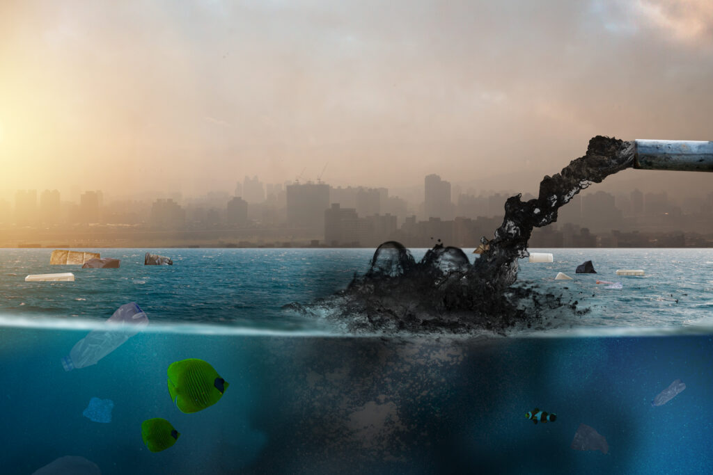 La explotación de los recursos oceánicos