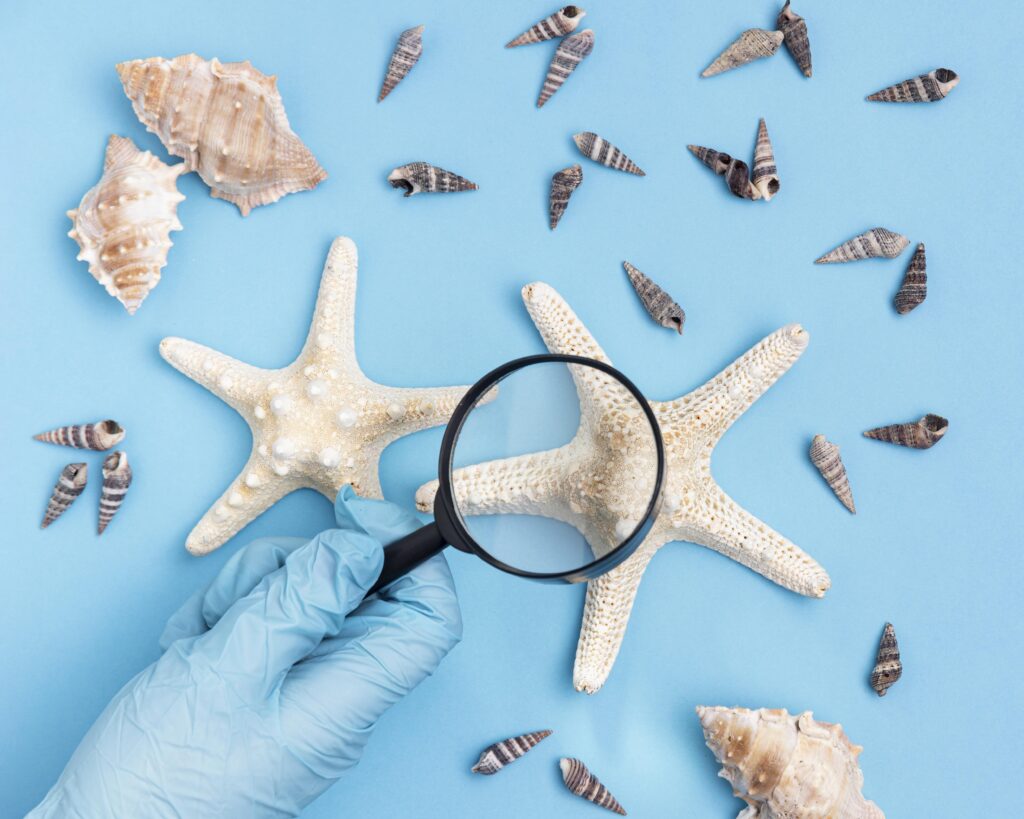 DE LA OCEANOGRAFIA A LA OCEANOLOGIA