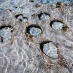La densidad de los nódulos en el fondo de los océanos